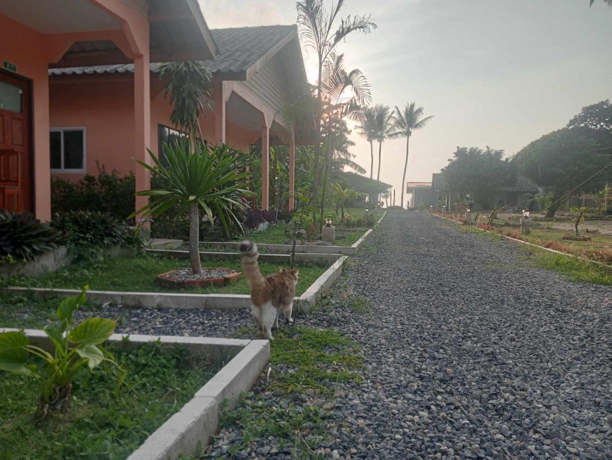 Scandinavian Beach Resort Ko Lanta Exterior foto